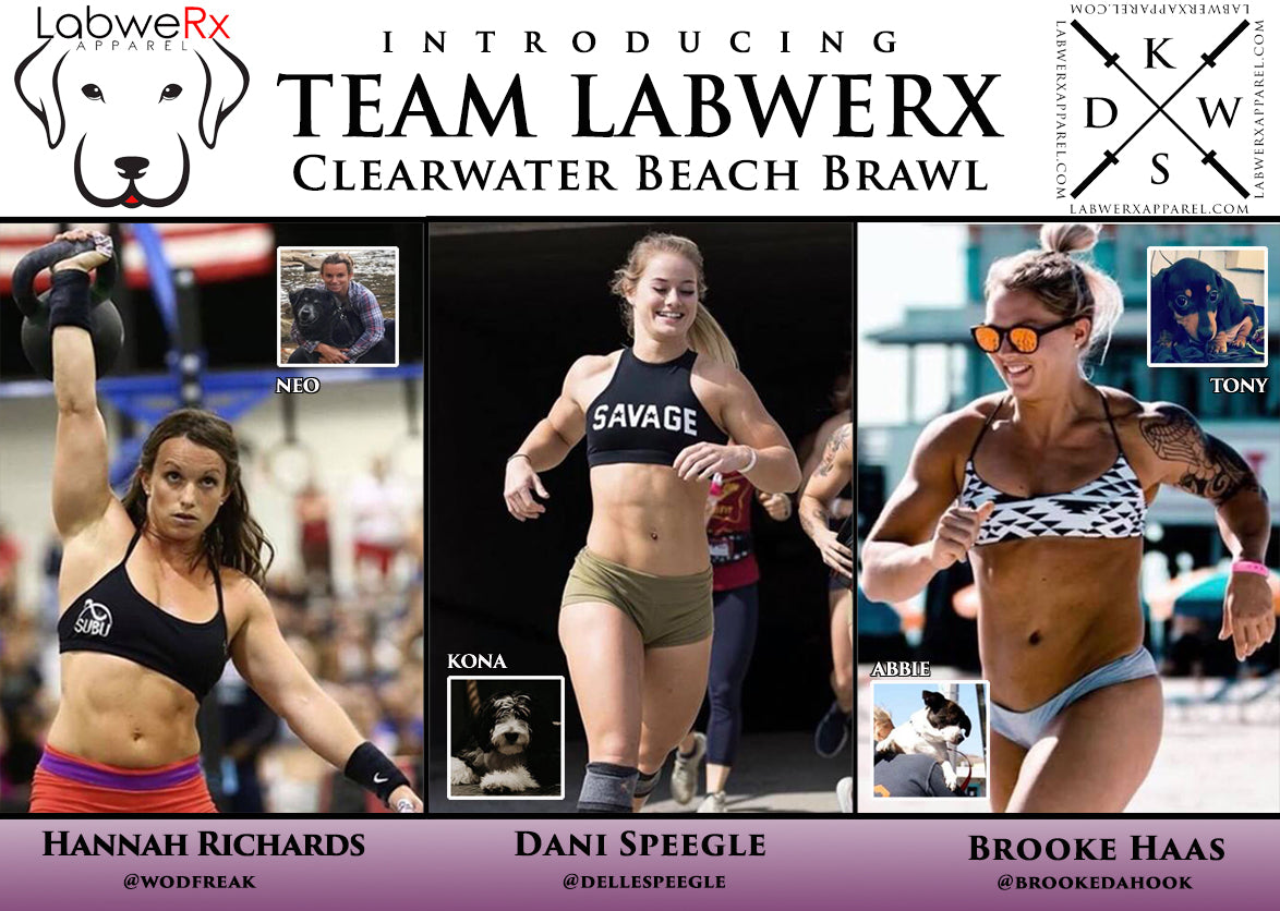 Clearwater Beach Brawl With Team LabweRx and Humane Society Tampa Ba