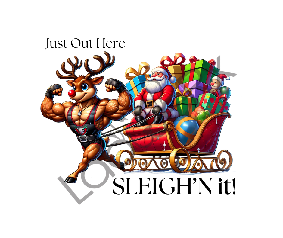 JUST OUT HERE SLEIGH'N IT!