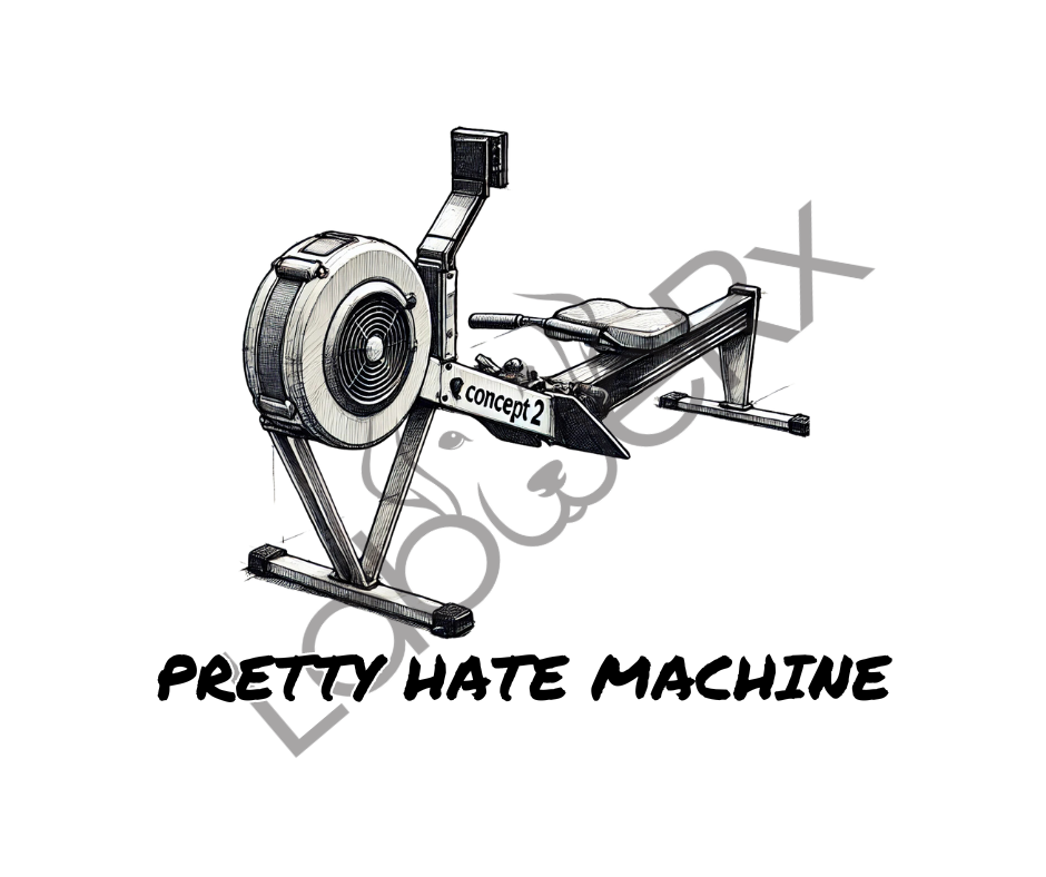 PRETTY HATE MACHINE