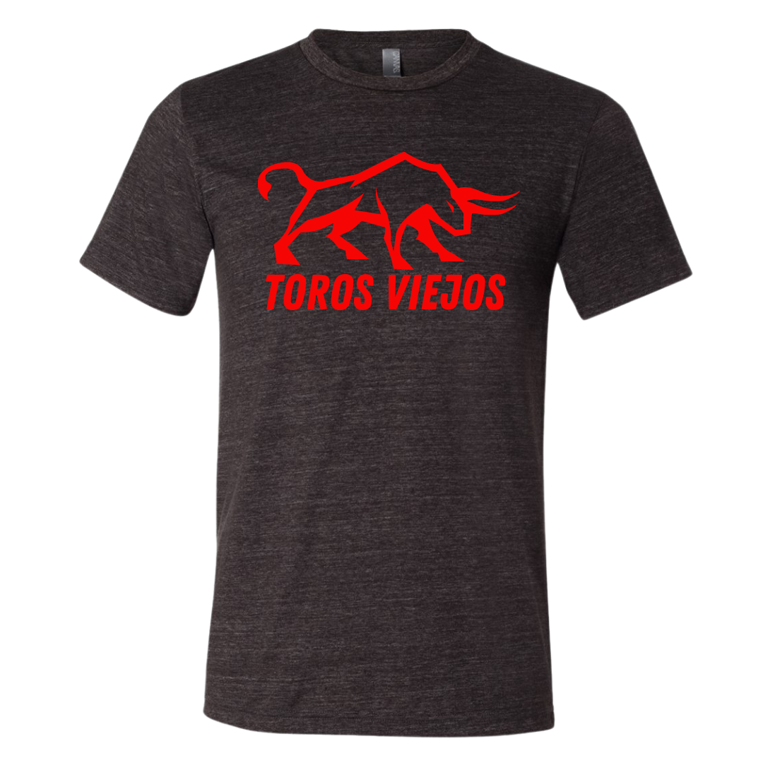 TOROS VIEJOS